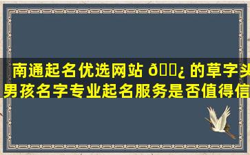 南通起名优选网站 🌿 的草字头男孩名字专业起名服务是否值得信赖